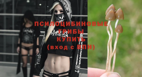 соль курить ск Надым