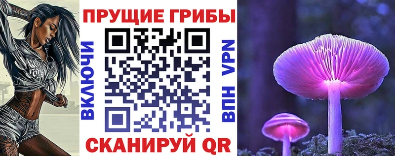 Псилоцибиновые грибы Psilocybe  Альметьевск 